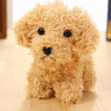 Pet doll teddy dog toy