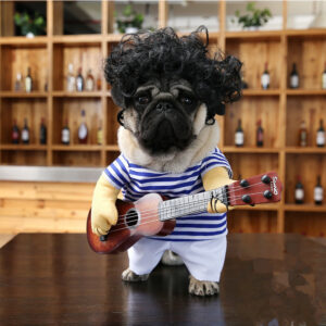 14821664725638.jpg Pet dog guitarist dress