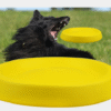 Pet Dogs Throwing Plastic Toys