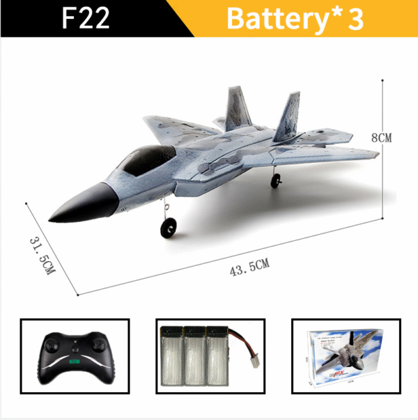 2d1dbd56-4238-4dba-a54f-8bcaa52ff184.png FX-822 remote control glider