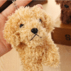 Pet doll teddy dog toy