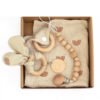 Baby Teething Toys Teether Gift Set