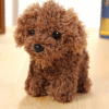 Pet doll teddy dog toy